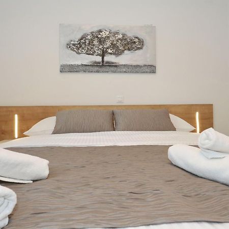 Villa Ankora 2 With Heated Pool Biograd Na Moru Exteriér fotografie